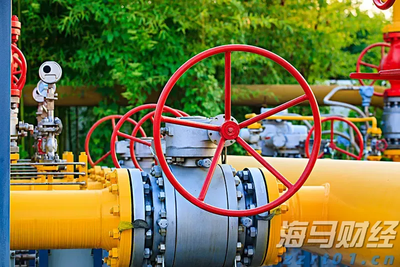 海南省市场监管局强化政企联动共建网络市场监管新格局