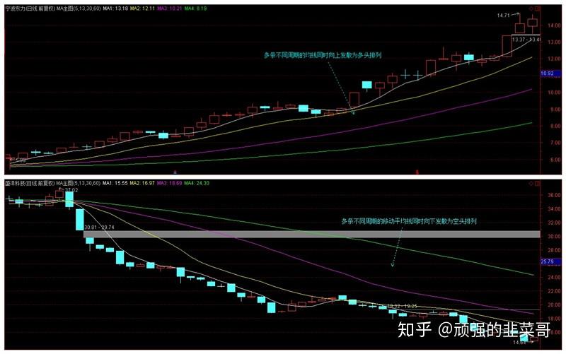 上海市已有539家食品生产企业复工 100余家开展“社区团购”业务